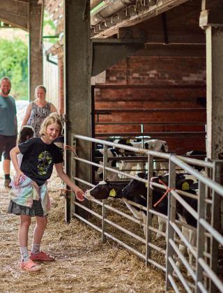 Niños y adultos alimentan terneros en un establo en Feather Down Billingsmoor Farm, suroeste de Inglaterra.