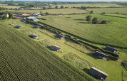 Vista aérea del parque vacacional Feather Down College Farm con tiendas y campos en el este de Inglaterra, Reino Unido.