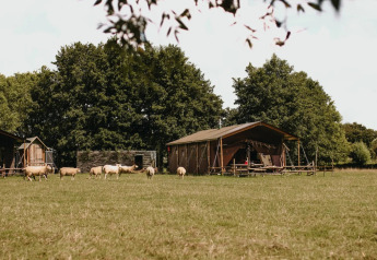 Safari tent Tent house with private hot shower at Feather Down Landgoed ter Wijnendale, Belgium, with grazing sheep.