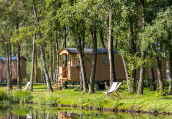 Gipsy-wagen met terras in een bosrijke omgeving aan het water, omgeven door bomen en ligstoelen.