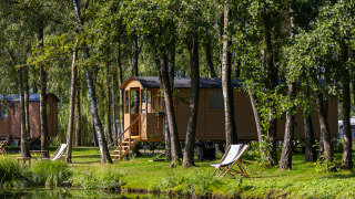 Gipsy wagon with terrace in a wooded area by the water, surrounded by trees and lounge chairs.