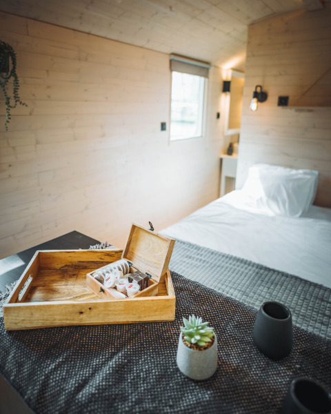 Gemütliches Innenraumfoto der Gipsy wagon Kabine mit Tablett, Pflanze und Bett im Hintergrund.