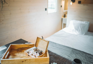 Gemütliches Innenraumfoto der Gipsy wagon Kabine mit Tablett, Pflanze und Bett im Hintergrund.