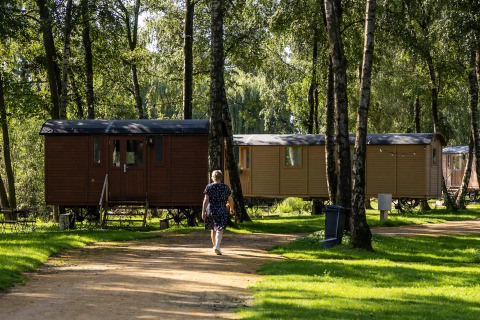 Una persona camina por un sendero frente a cabañas de madera en un bosque verde y soleado.