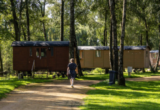 Una persona camina por un sendero frente a cabañas de madera en un bosque verde y soleado.