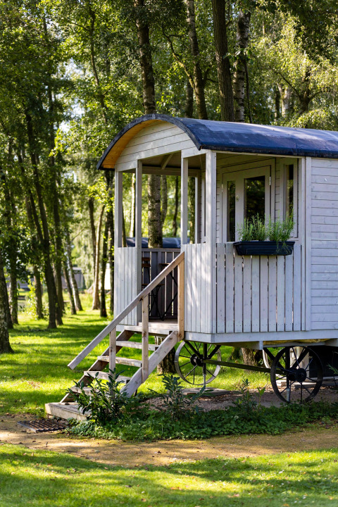 Cabaña de carro gitano con terraza en bosque soleado, rodeada de árboles y césped natural verde.