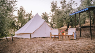 Tente Bell installée au milieu des oliviers, avec fauteuils et table sous un auvent ombragé.