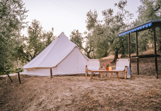 Bell tent midden in een olijfgaard met comfortabele stoelen en tafel onder een blauwe luifel.