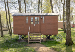 Kleine bruine pipowagen op wielen bij Camping Papillon in België, omringd door bomen en natuur.