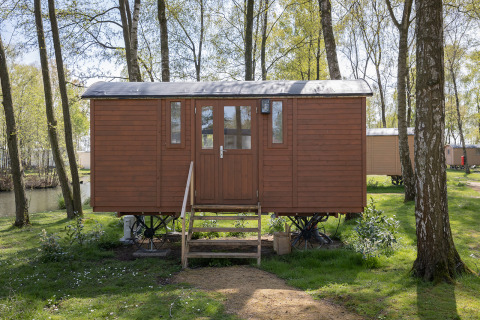 Una pequeña cabaña marrón sobre ruedas, Pipowagen, en Camping Papillon, Bélgica, rodeada de árboles.