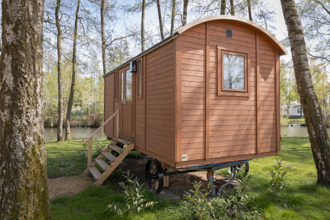 Cabane en bois Pipowagen avec escalier, située dans une forêt au bord d’un paisible étang.