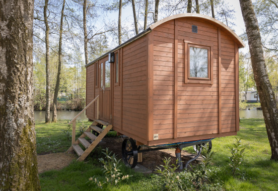 Cabaña Pipowagen de madera con escaleras en un bosque, cerca de un estanque tranquilo.