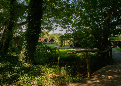Vista soleggiata al Feather Down Het Wesselink a Salland, Overijssel, con alberi e piccole case vacanza.
