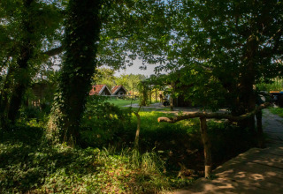 Vista soleggiata al Feather Down Het Wesselink a Salland, Overijssel, con alberi e piccole case vacanza.