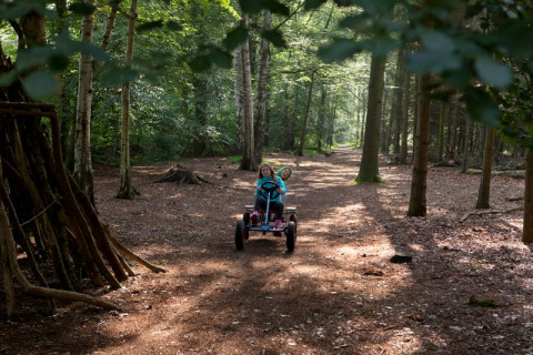 Two children ride a pedal cart down a forest path at Feather Down Het Wesselink in Salland, Overijssel.