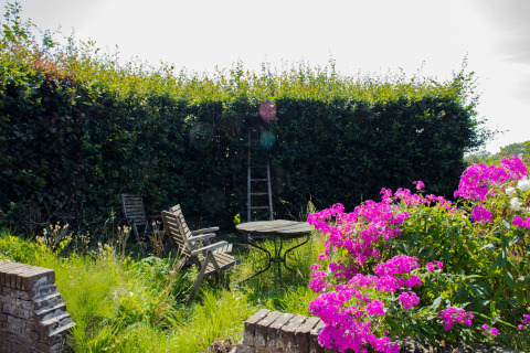 Giardino con sedie, tavolo e fiori rosa a Feather Down Het Wesselink a Salland, Overijssel, Paesi Bassi.