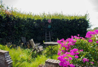 Tuin met houten stoelen, tafel en roze bloemen bij Feather Down Het Wesselink in Salland, Overijssel, Nederland.