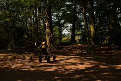 Ein Kind fährt mit einem Gokart durch einen sonnigen Wald im Feather Down Het Wesselink in Salland, Overijssel, Niederlande.