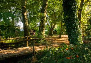 Sentiero nel bosco con ponte e casette al sole a Feather Down Het Wesselink, villaggio vacanze in Overijssel.
