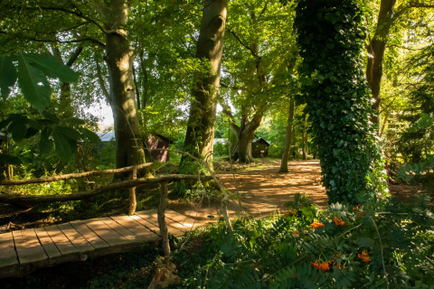 Sentier forestier avec pont en bois et cabanes ensoleillées à Feather Down Het Wesselink, Overijssel.