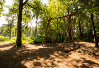 Grote houten schommel in een zonovergoten bos bij Feather Down Het Wesselink in Salland, vakantiepark in Overijssel, Nederland.