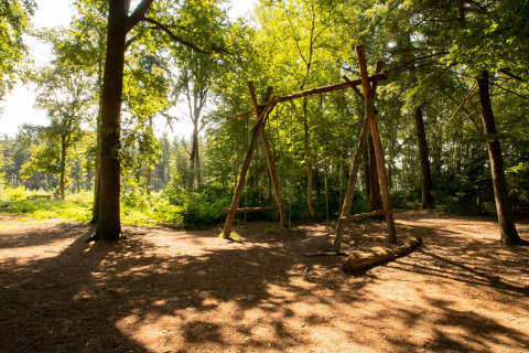 Grote houten schommel in een zonovergoten bos bij Feather Down Het Wesselink in Salland, vakantiepark in Overijssel, Nederland.
