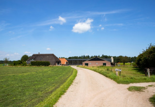 Strada sterrata che porta al Feather Down Het Wesselink, agriturismo e parco vacanze a Salland, Overijssel, Paesi Bassi.
