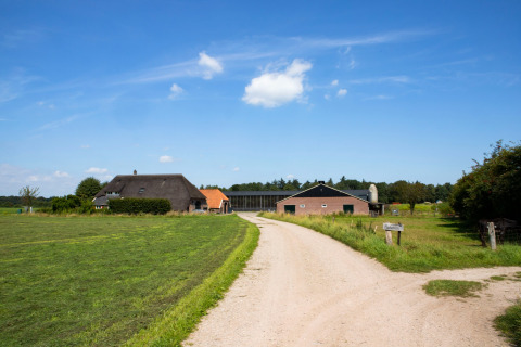 Camino de grava hacia la granja y el parque vacacional Feather Down Het Wesselink en Salland, Overijssel, Países Bajos.