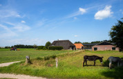 Vue de la ferme Feather Down Het Wesselink à Salland, avec des ânes au pré et un tracteur au loin.