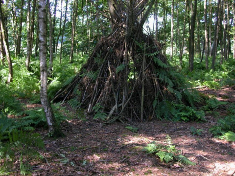 Een schuilhut van takken in het bos bij Feather Down Het Wesselink in Salland, Overijssel, Nederland.