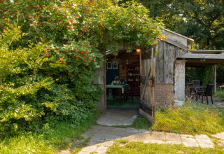 Cozy shed surrounded by lush greenery at Feather Down Het Wesselink in Salland, Overijssel, Netherlands.