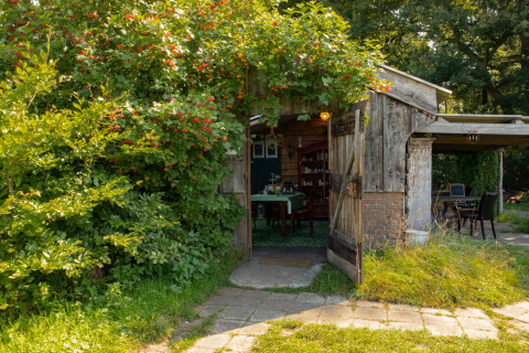 Gemütliche Holzhütte mit üppigem Grün bei Feather Down Het Wesselink in Salland, Overijssel, Niederlande.
