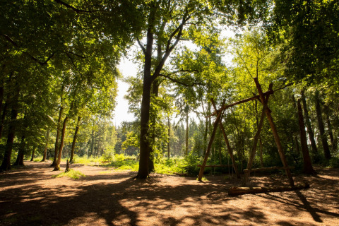 Claro de bosque soleado con columpio de madera en Feather Down Het Wesselink, parque vacacional en Overijssel.