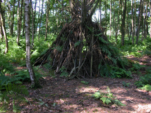 Schuilhut van takken in een bos bij Feather Down Het Wesselink in Salland, Overijssel, Nederland.