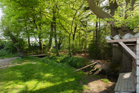 Vista naturale presso Feather Down Het Wesselink a Salland, Overijssel, Paesi Bassi, con alberi e un ponticello.