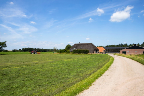 Veduta di Feather Down Het Wesselink a Salland, Overijssel, Paesi Bassi, con fattoria e trattore nel campo.