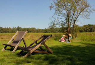 Relaxing summer day at Feather Down Het Wesselink with deck chairs and children playing under a tree.