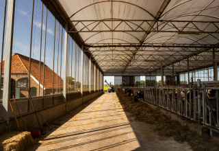 Interieur van een koeienstal met hooi bij Feather Down Het Wesselink in Salland, Overijssel, Nederland.