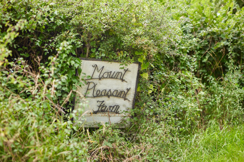 Een handgeschilderd bord van Mount Pleasant Farm in het groen, genomen bij Feather Down Mount Pleasant.