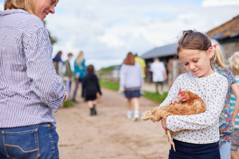 Niña sosteniendo una gallina en Feather Down Mount Pleasant, parque vacacional en el suroeste de Inglaterra, Reino Unido.