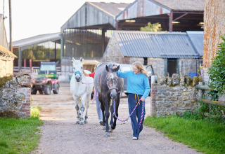 Vrouw begeleidt twee paarden op Feather Down Mount Pleasant, een vakantiepark in Zuidwest-Engeland, VK.