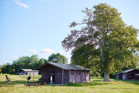 Buitenlodgetenten op Feather Down Mount Pleasant vakantiepark in Zuidwest-Engeland op een zonnige dag.