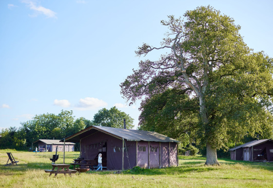 Buitenlodgetenten op Feather Down Mount Pleasant vakantiepark in Zuidwest-Engeland op een zonnige dag.