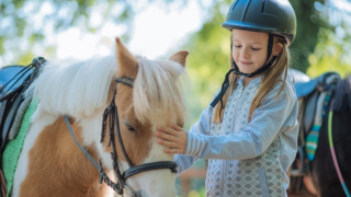 Pige med ridehjelm klapper en pony i solen på feriepark med glampingindkvartering i Danmark.