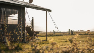 Safaritent met privé warme douche bij de boerderij van Feather Down Botterheerd, Nederland, ochtendlicht.