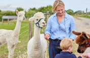 Donna e bambino nutrono alpaca al Feather Down East Shilvinghampton, parco vacanze nel sud-ovest dell'Inghilterra.