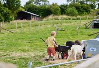 Un bambino dà da mangiare alle capre presso il parco vacanze Feather Down East Shilvinghampton, Inghilterra sudoccidentale.