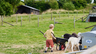 Un enfant nourrit des chèvres au parc de vacances Feather Down East Shilvinghampton, dans le sud-ouest de l’Angleterre.