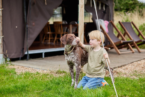 Boy kneels beside dog outside safari tent at Feather Down Heydon Grove Farm holiday park, East England, UK.