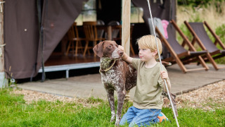Garçon avec chien devant la tente à Feather Down Heydon Grove Farm, parc de vacances, Est de l'Angleterre, UK.